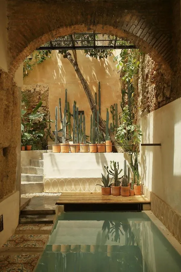 Fixie Lofts - Colonial Villa Suites With Pool Santo Domingo