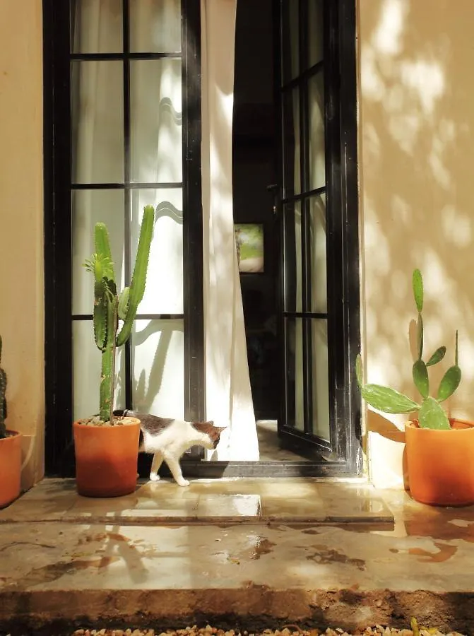 Fixie Lofts - Colonial Villa Suites With Pool Santo Domingo 0*,